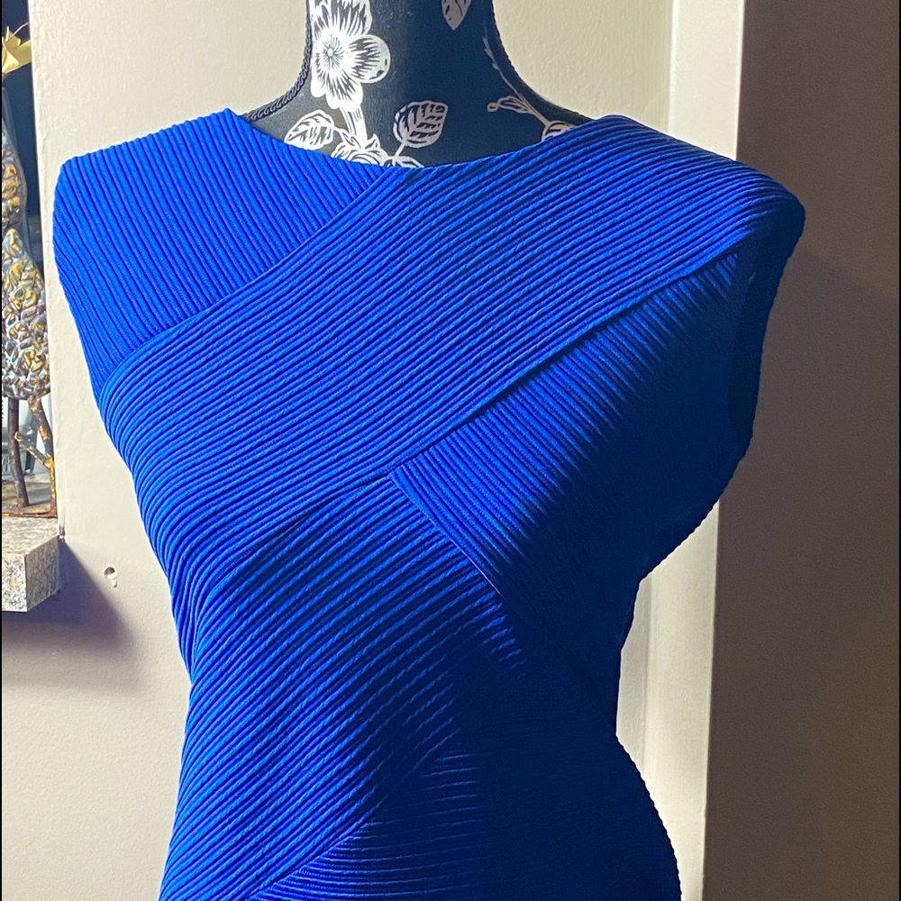 Calvin Klein Women’s Dress Size, 12